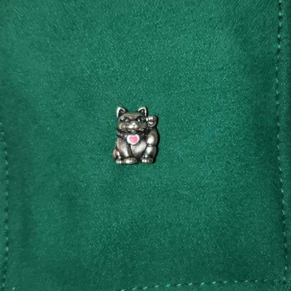 Pandora charm